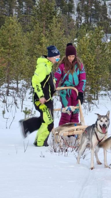 Stengelsen Husky Alta
